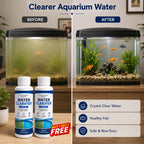 Water Clarifier Liquid – For Aquariums, Ponds, Pools & Tanks | 300ml | BUY 1 GET 1 FREE